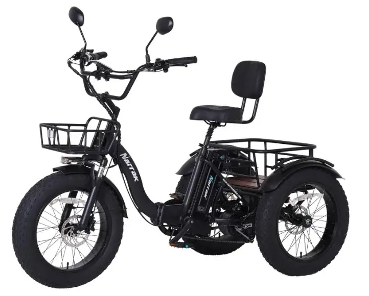 Narrak-electric-tricycle