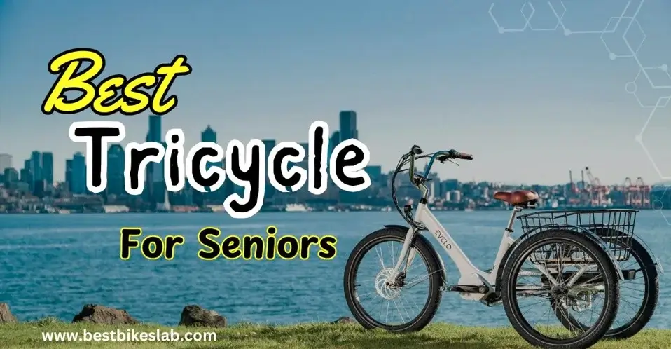 best-tricycles-for-seniors