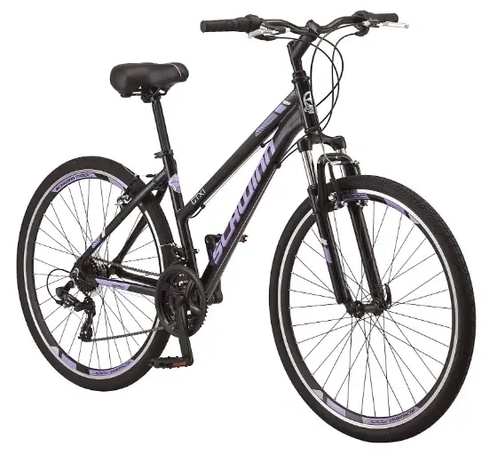Schwinn-GTX-hybrid-bike-for-plus-size-women